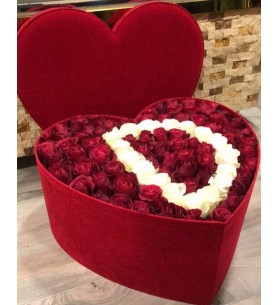 VİP KUTU